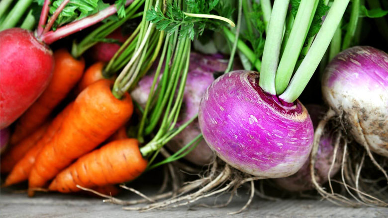 Assortiment de légumes et racines, ingrédients naturels pour une alimentation saine et équilibrée, idéale pour accompagner des résolutions de perte de poids.