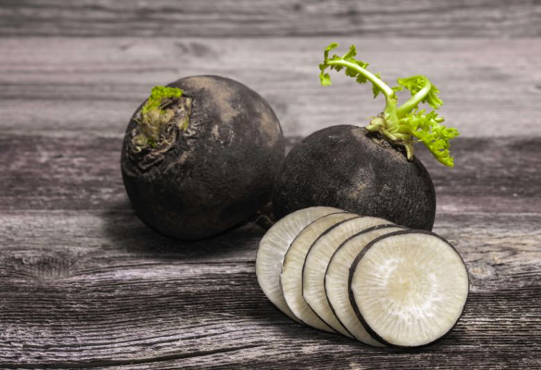 Radis noir, un aliment détoxifiant naturel qui aide à purifier l'organisme et à soutenir la digestion après les fêtes.