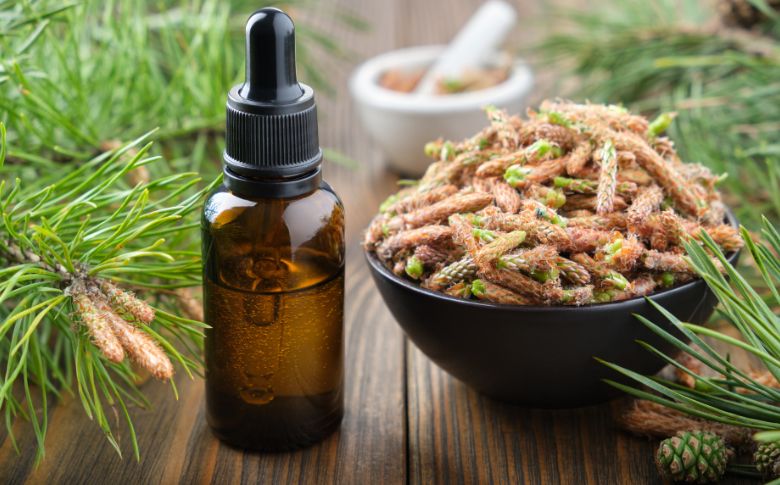 Flacon d'huile essentielle de pin, utilisée en médecine chinoise pour revitaliser l'énergie et favoriser l'équilibre de l'élément Eau.
