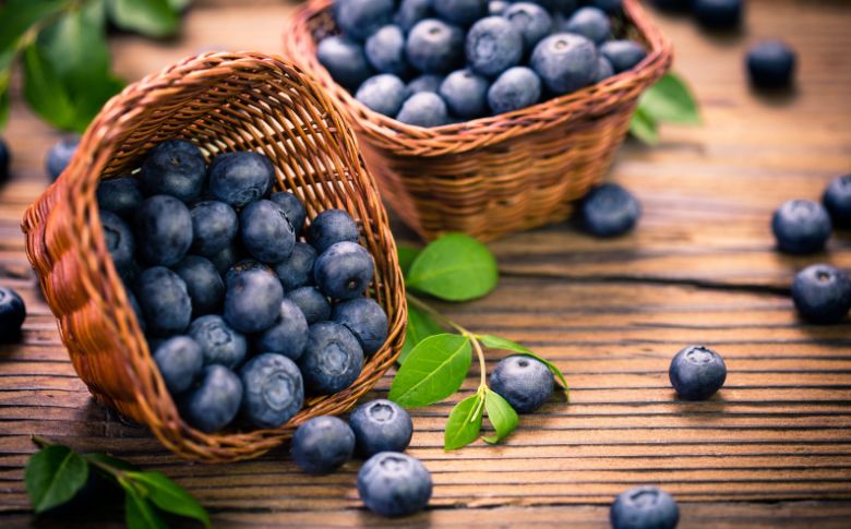 Myrtilles, un fruit riche en antioxydants, associé à l’élément Eau en médecine chinoise pour soutenir l’énergie et la santé des reins.